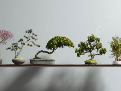 新中式迎客松盆栽